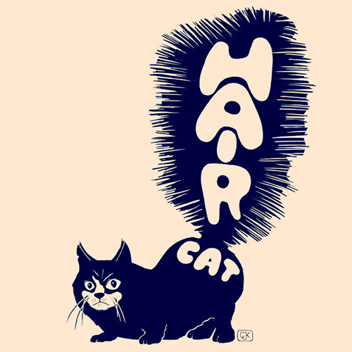 Haircat Haircut