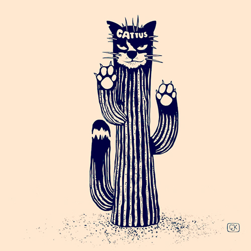 Cattus Cactus