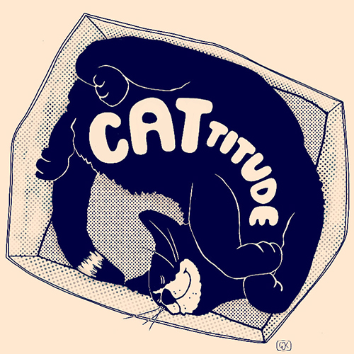 Cattitude Attitude