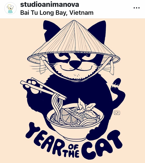 Year of the cat